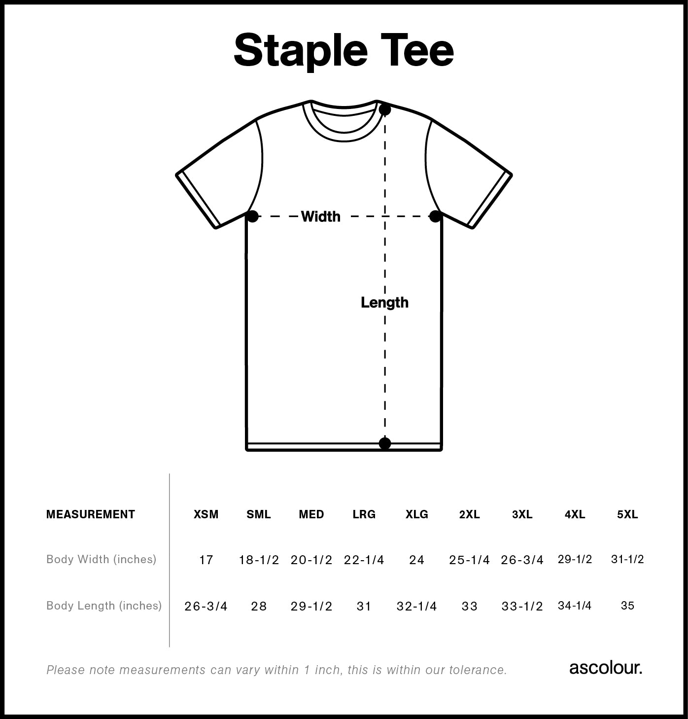 Staple Tee | 5001  grouped