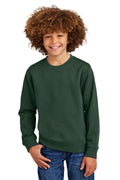Front View of ForestGrn District Youth V.I.T. Fleece Crew DT6104Y