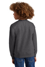 HtdChar District Youth V.I.T. Fleece Crew DT6104Y