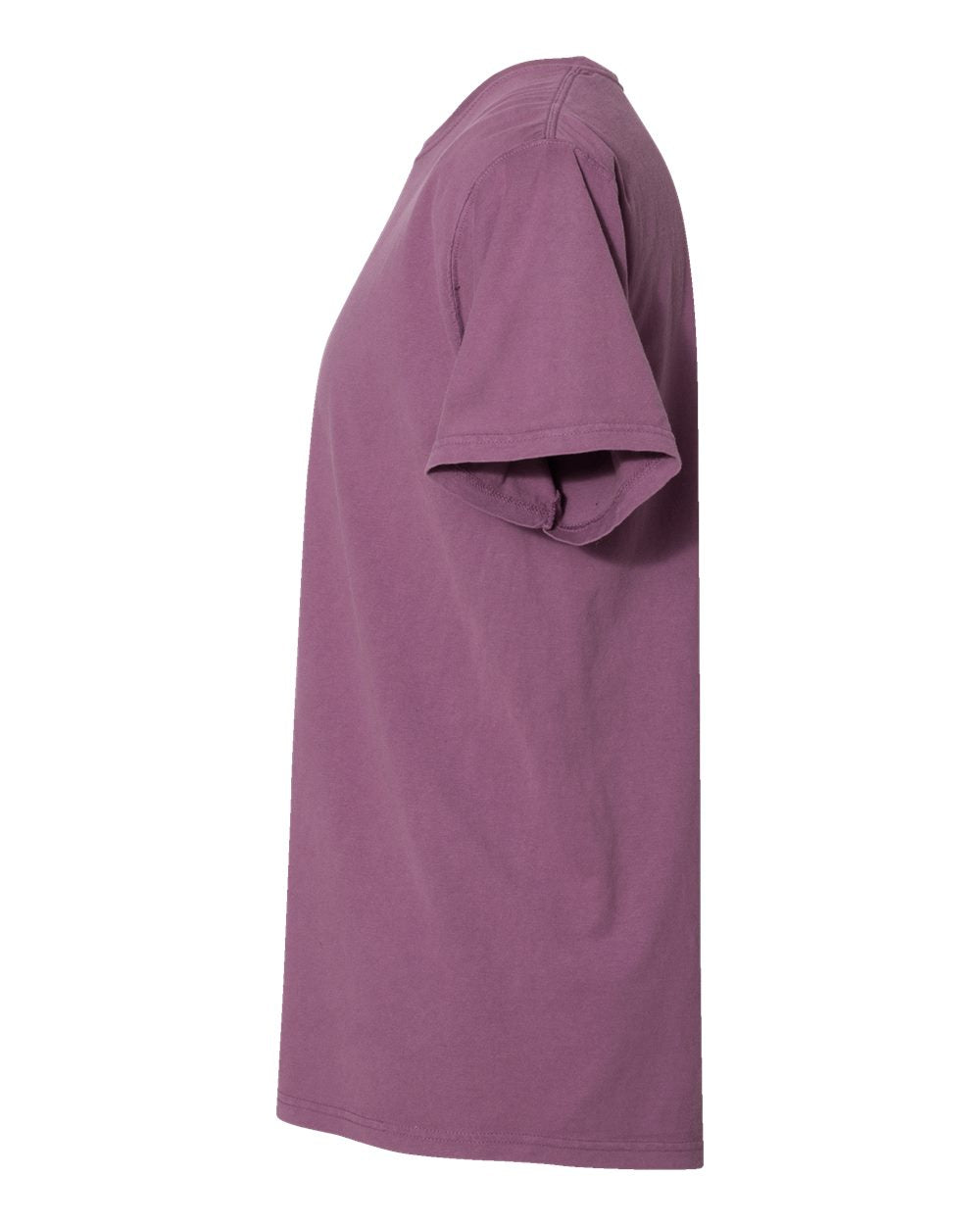 Left View of Purple Plum Raisin Garment-Dyed T-Shirt - GDH100