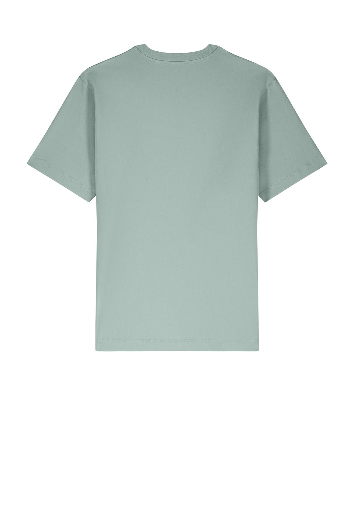 Rear View of Aloe Stanley/Stella Unisex Freestyler Heavyweight Tee SXU018