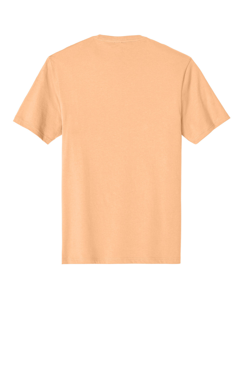 Rear View of Apricot District Perfect Weight Tee. DT104