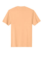 Rear View of Apricot District Perfect Weight Tee. DT104