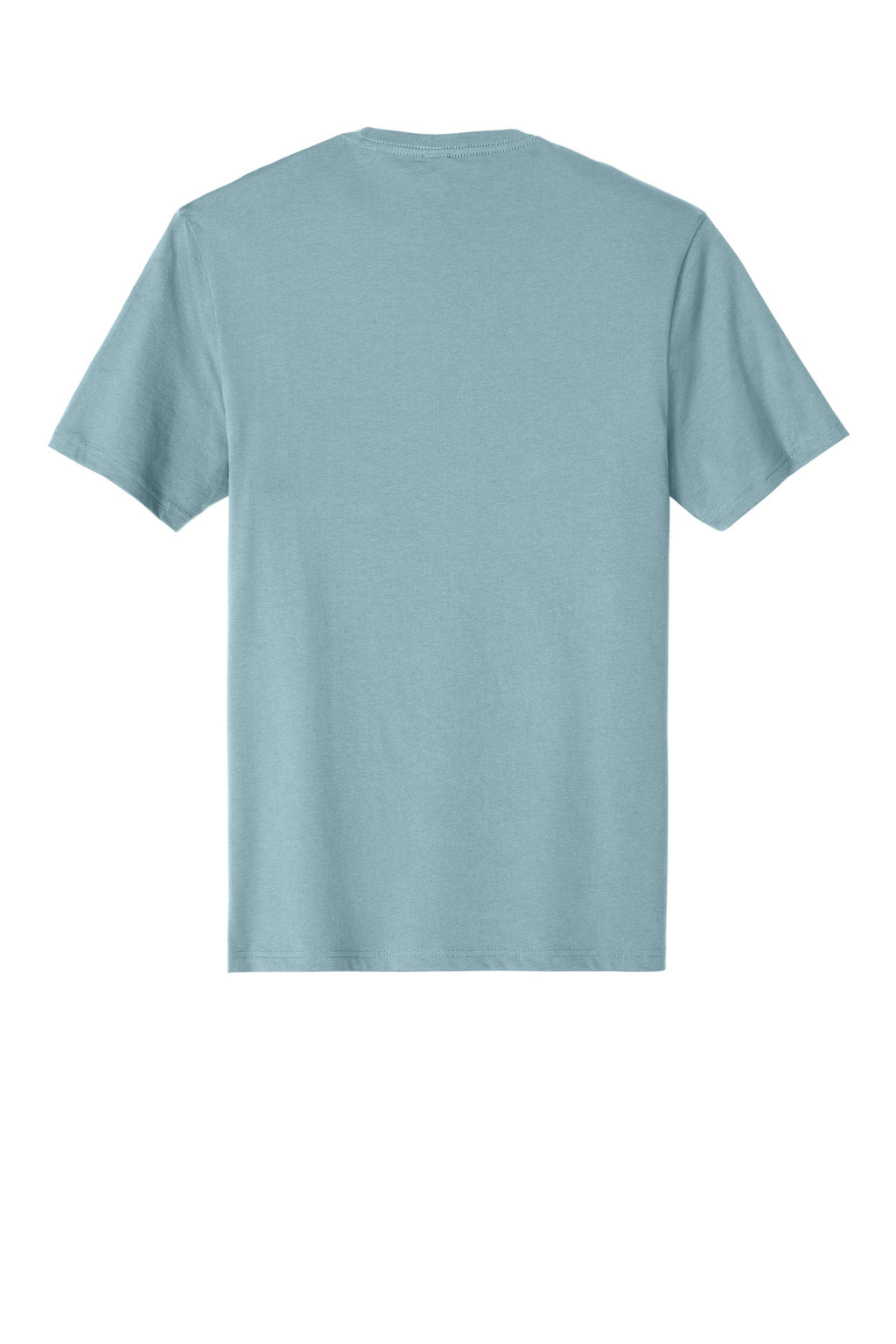 Rear View of BlueFog District Perfect Weight Tee. DT104