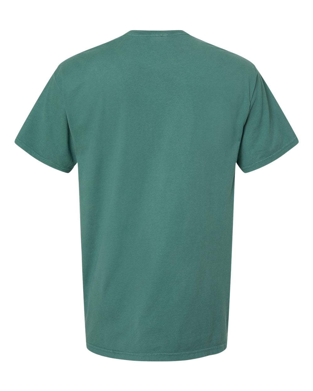 Rear View of Cactus Garment-Dyed T-Shirt - GDH100