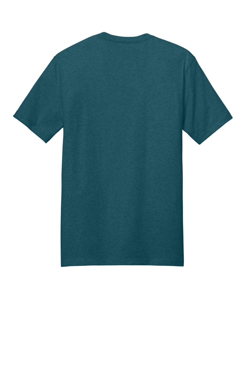 Rear View of CariBluHtr District Perfect Weight Tee. DT104