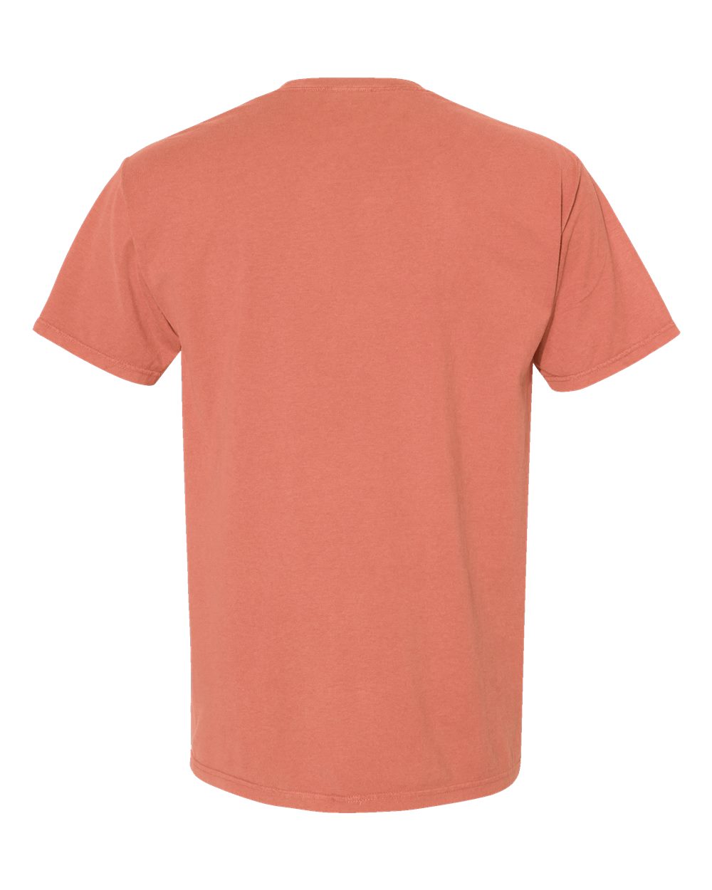 Rear View of Clay Garment-Dyed T-Shirt - GDH100