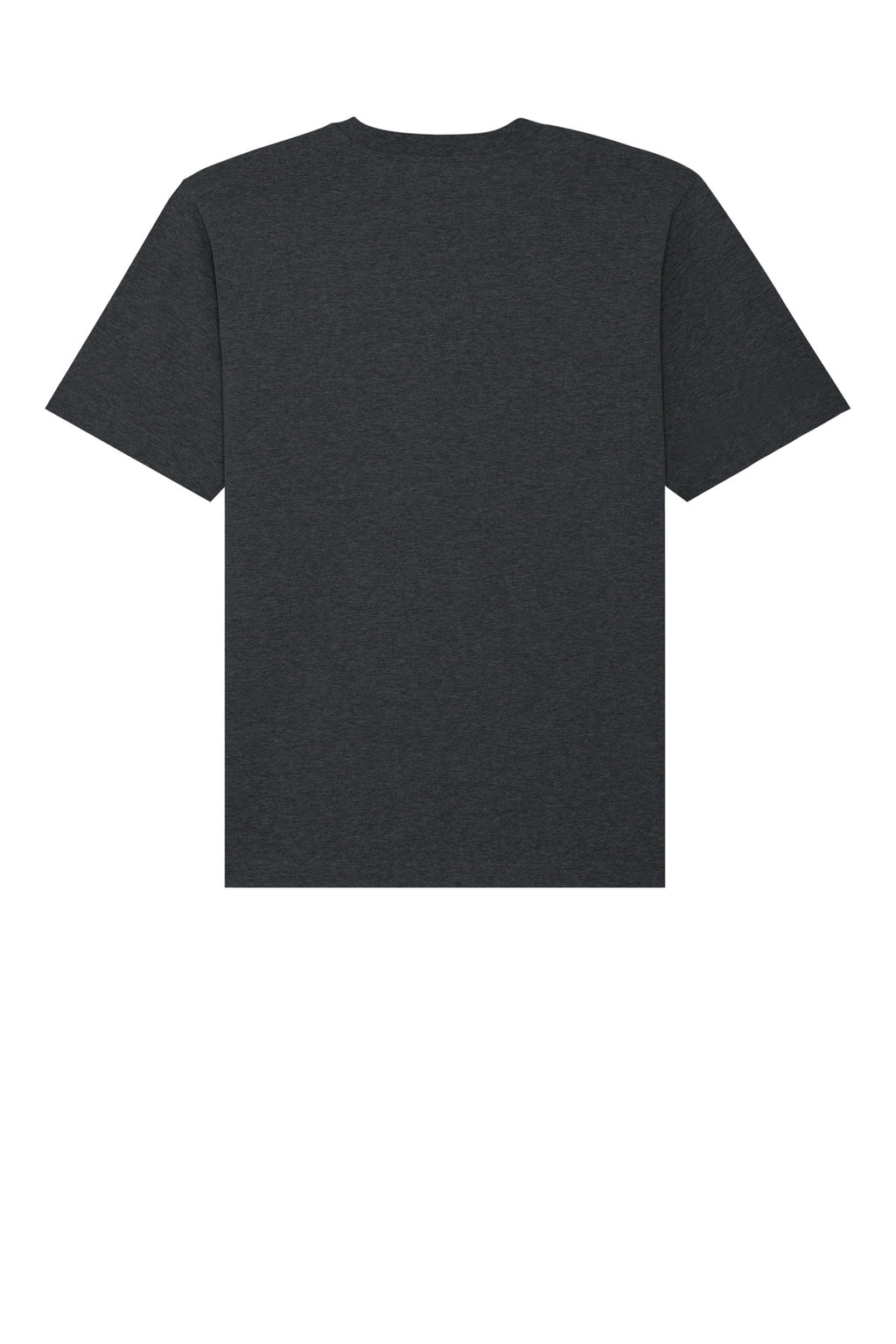 Rear View of DkHtGry Stanley/Stella Unisex Freestyler Heavyweight Tee SXU018