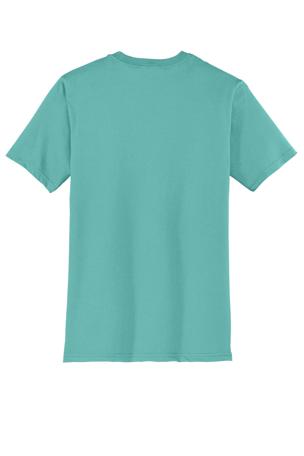 Rear View of EuclptusBl District Very Important Tee . DT6000