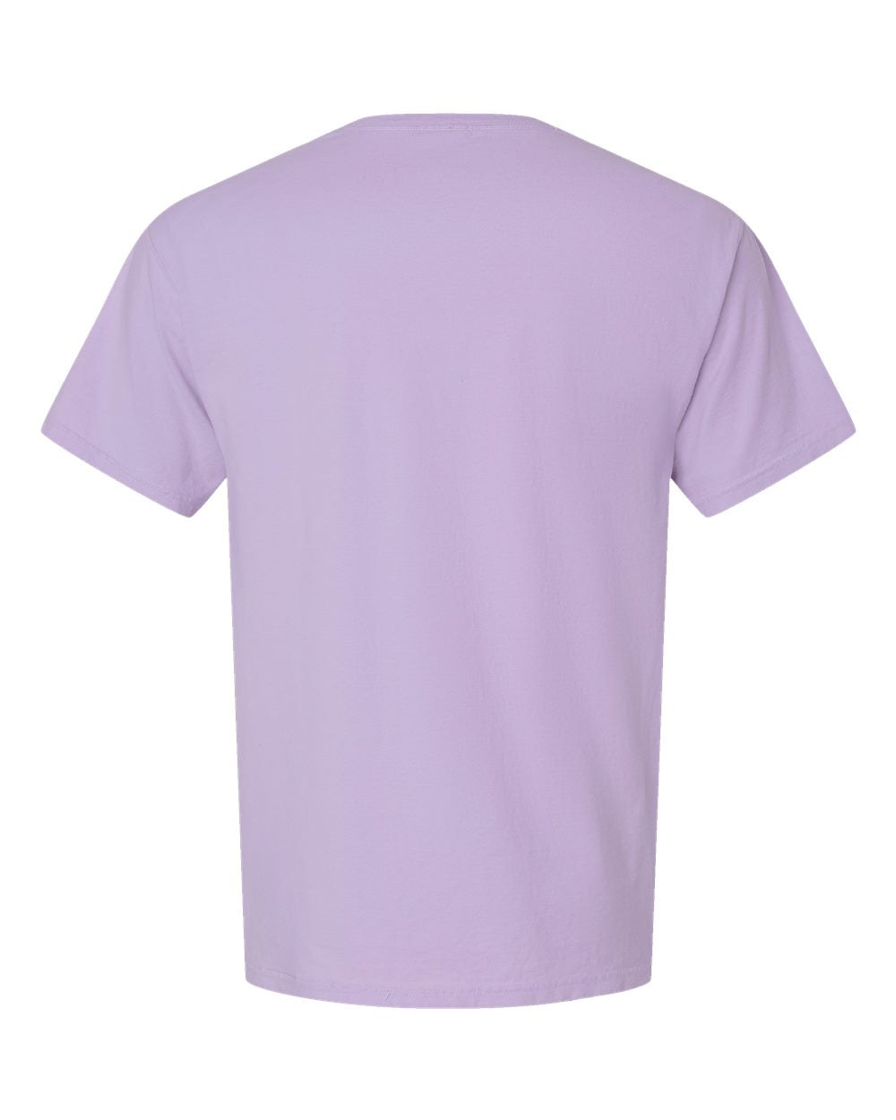 Rear View of Future Lavender Garment-Dyed T-Shirt - GDH100