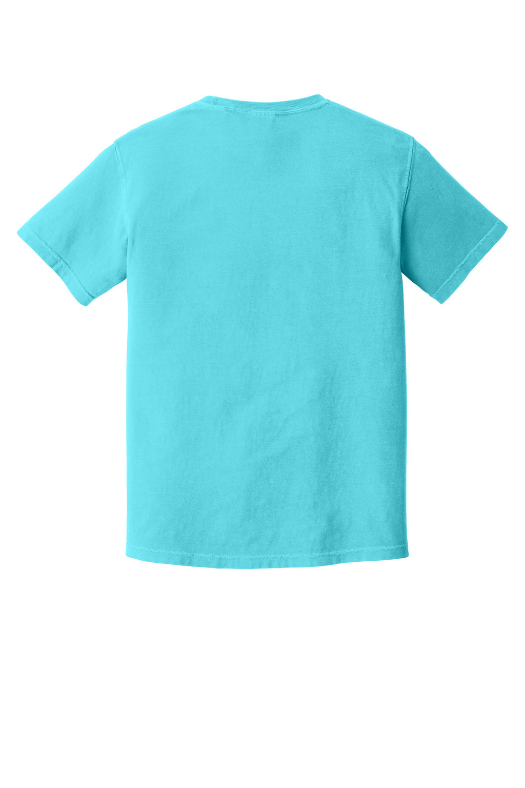 Rear View of Lagoon COMFORT COLORS Heavyweight Ring Spun Tee. 1717