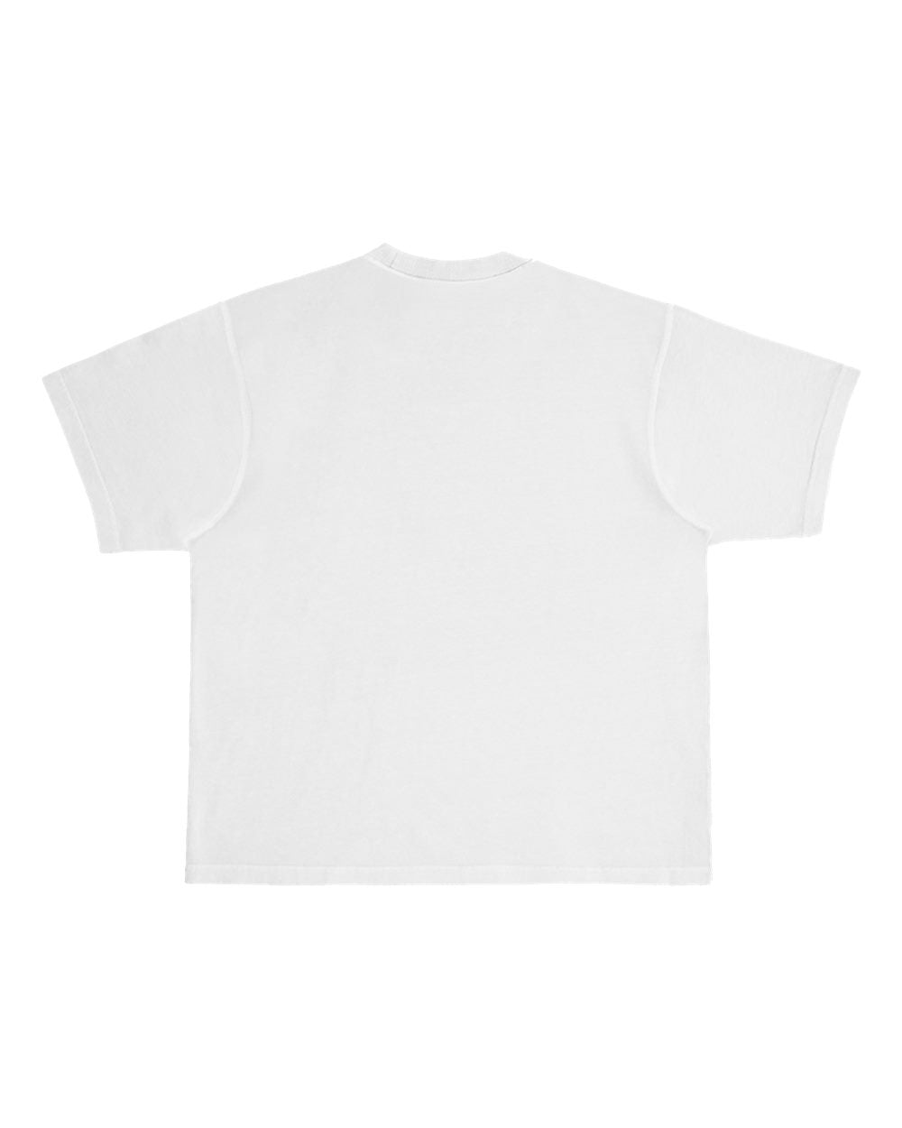 Rear View of Lunar Rock Urban Heavyweight T-Shirt - LS16005