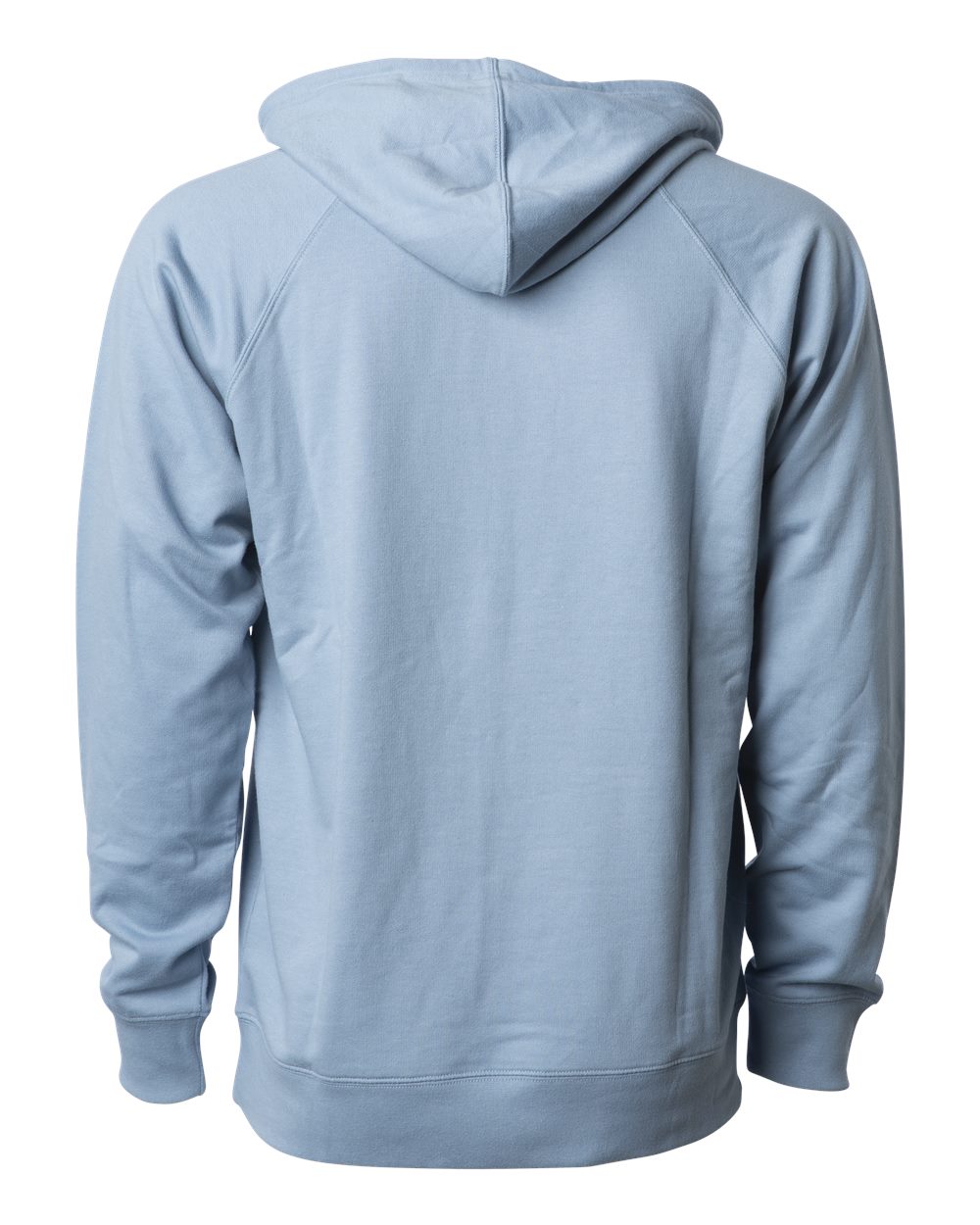 Rear View of Misty Blue Icon Lightweight Loopback Terry Hooded Sweatshirt - SS1000