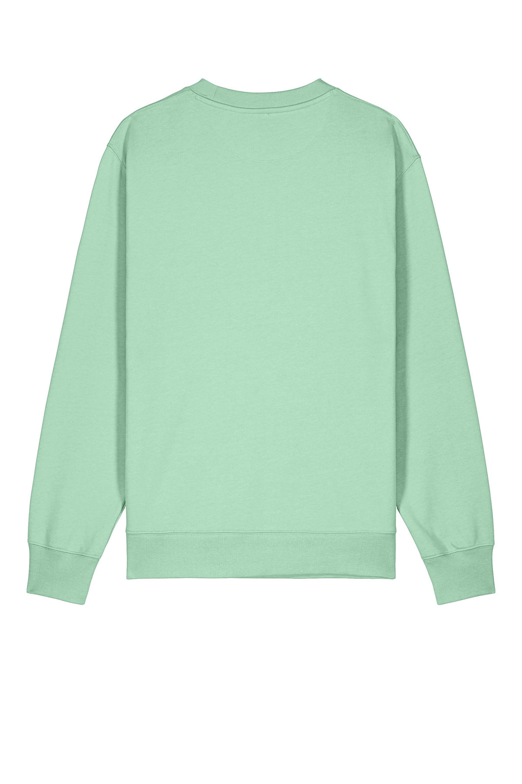 Rear View of MistyJade Stanley/Stella Unisex Changer 2.0 Crewneck Sweatshirt SXU004