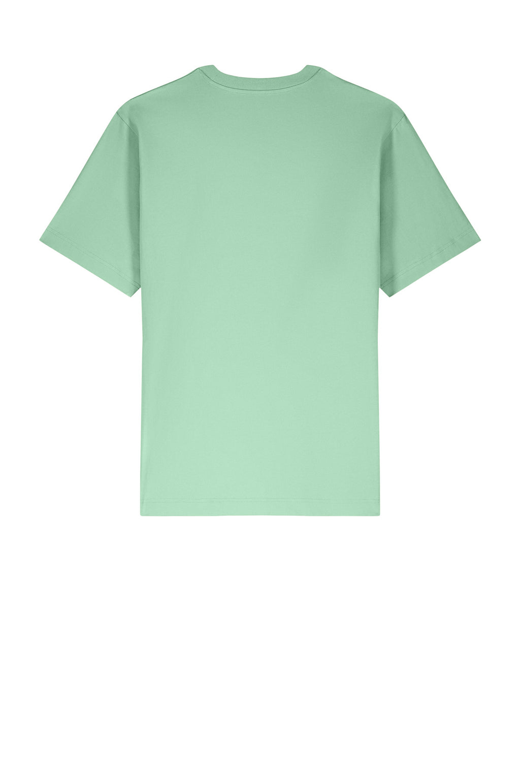 Rear View of MistyJade Stanley/Stella Unisex Freestyler Heavyweight Tee SXU018