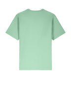Rear View of MistyJade Stanley/Stella Unisex Freestyler Heavyweight Tee SXU018