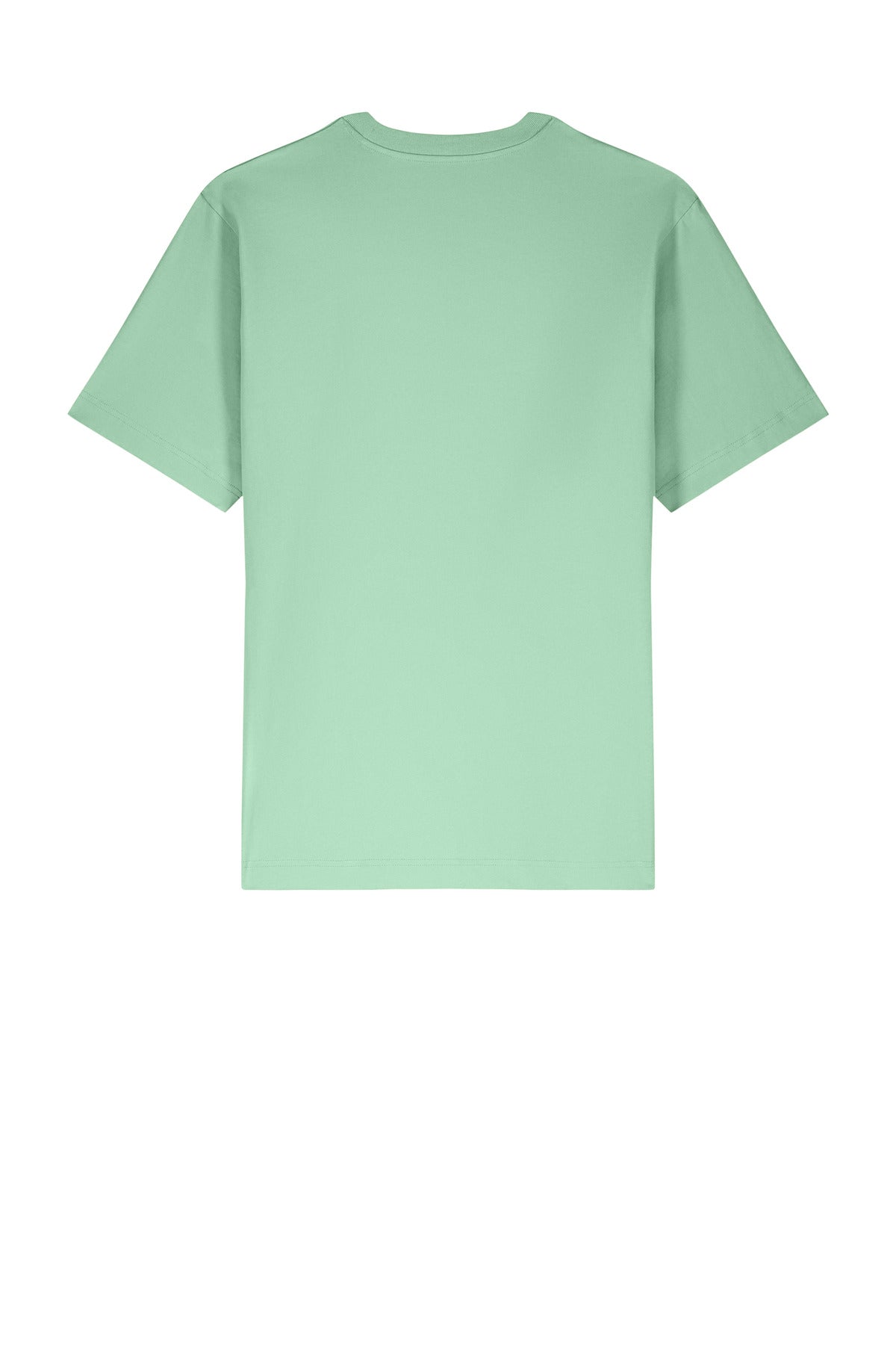 Rear View of MistyJade Stanley/Stella Unisex Freestyler Heavyweight Tee SXU018