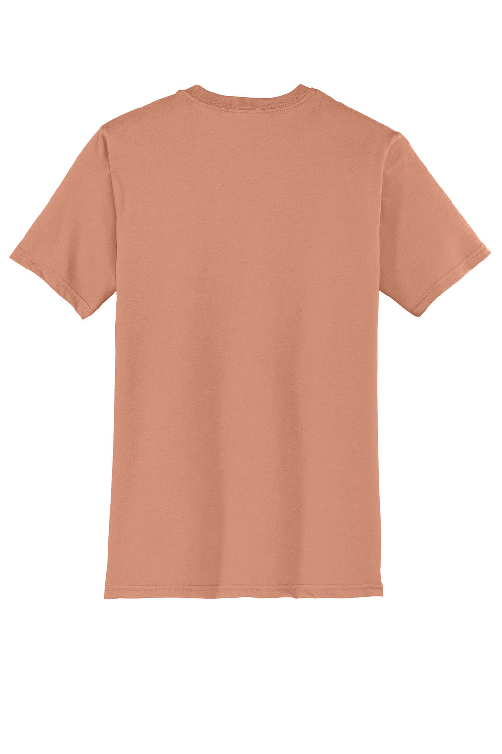 Rear View of NstlgiaRse District Very Important Tee . DT6000