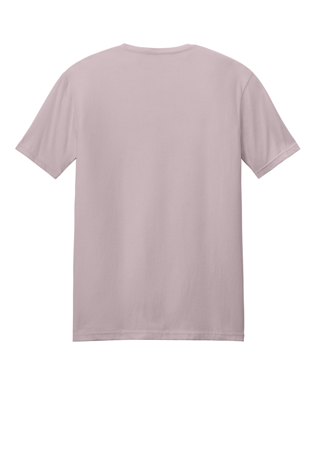 Rear View of Paragon Gildan Softstyle T-Shirt. 64000
