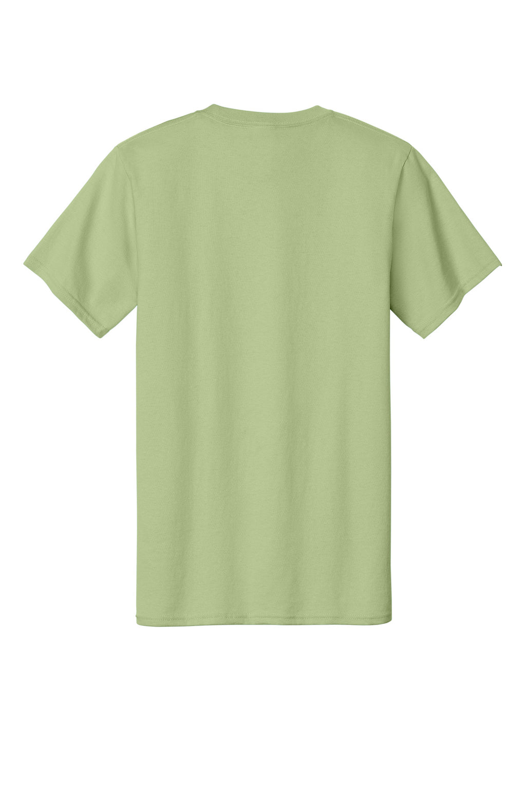 Rear View of Pistachio Port & Co Essential Tee. PC61