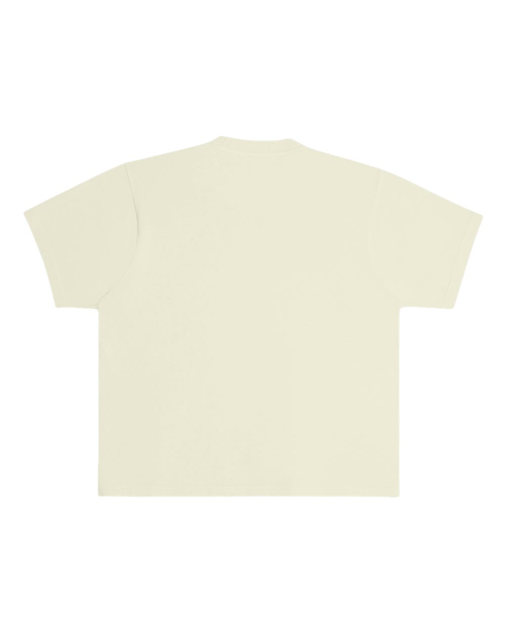 Rear View of Pistachio Urban Heavyweight T-Shirt - LS16005