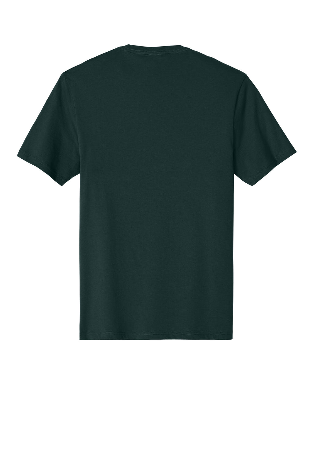 Rear View of Rainforest District Perfect Weight Tee. DT104