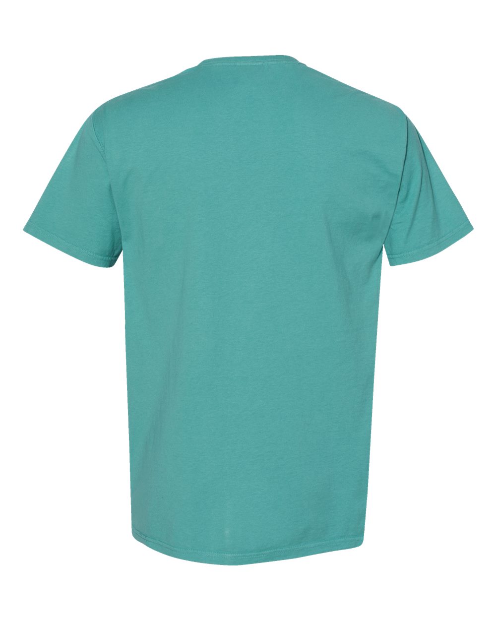 Rear View of Spanish Moss Garment-Dyed T-Shirt - GDH100