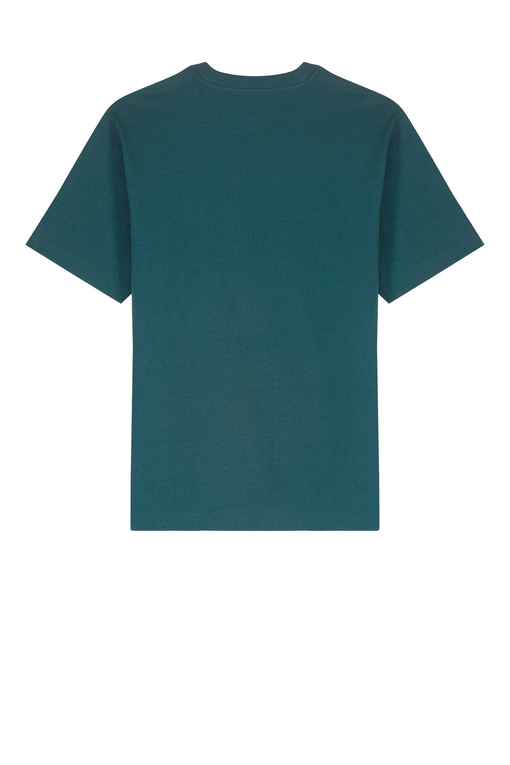 Rear View of Stargazer Stanley/Stella Unisex Freestyler Heavyweight Tee SXU018