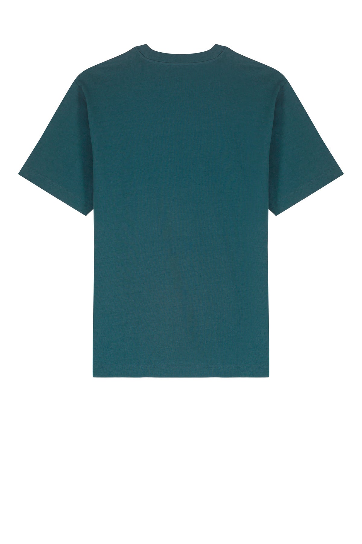 Rear View of Stargazer Stanley/Stella Unisex Freestyler Heavyweight Tee SXU018