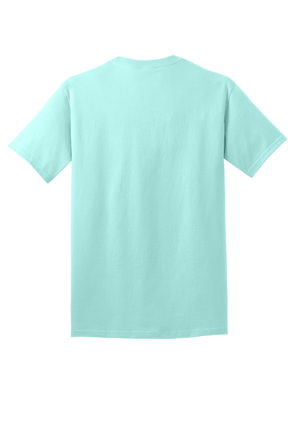 Rear View of TrCeladon Port & Co Core Cotton Tee. PC54