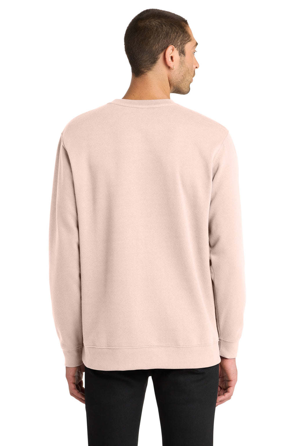 Rosewater Pink District V.I.T. Fleece Crew DT6104
